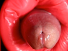 Dinosaur Anal asian gay gang sex videos