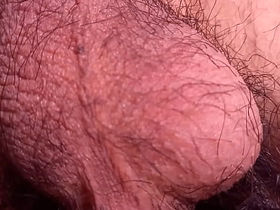 Sexy twink's hairy balls move all alone for this fascinating gay porn video asian gay site.com sex videos